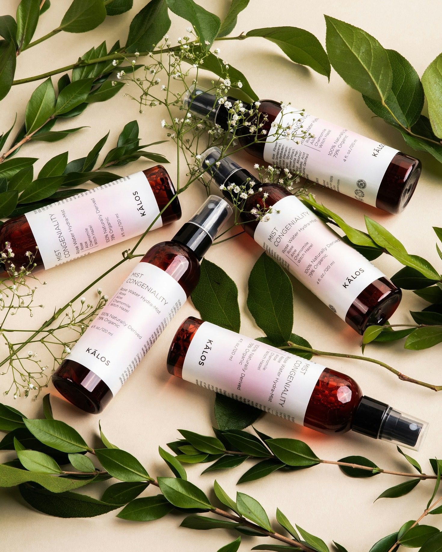 The Beginner Guide to Plant Medicine Wisdom